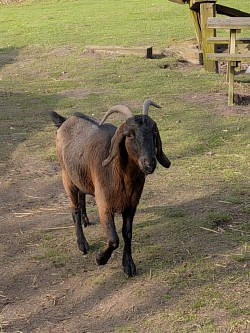 Drenthe